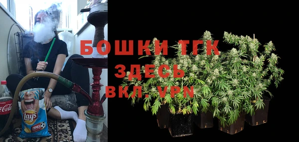 прущие грибы Михайловка