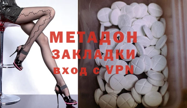 прущие грибы Михайловка