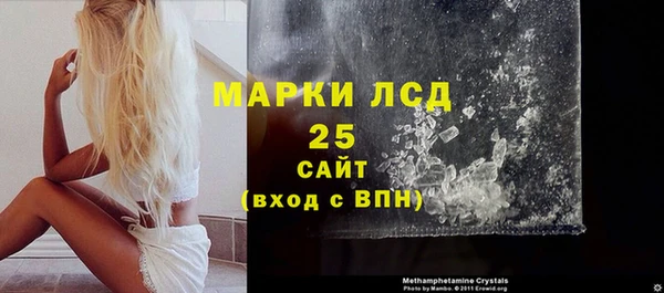 прущие грибы Михайловка