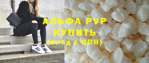 прущие грибы Михайловка