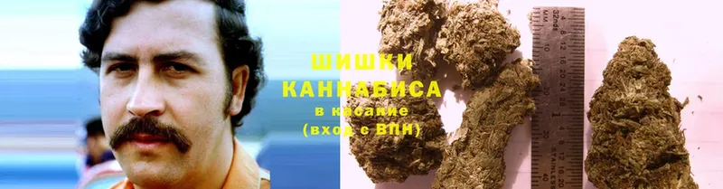 наркотики  Мосальск  Каннабис SATIVA & INDICA 